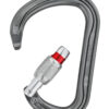 Petzl William Carabiner